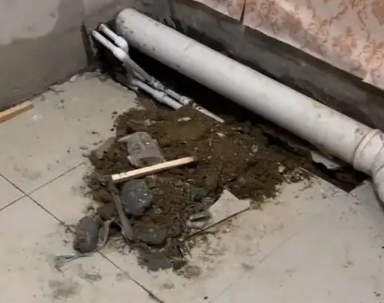 临湘卫生间漏水检测哪家好