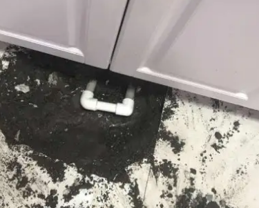 临湘查漏水哪家好
